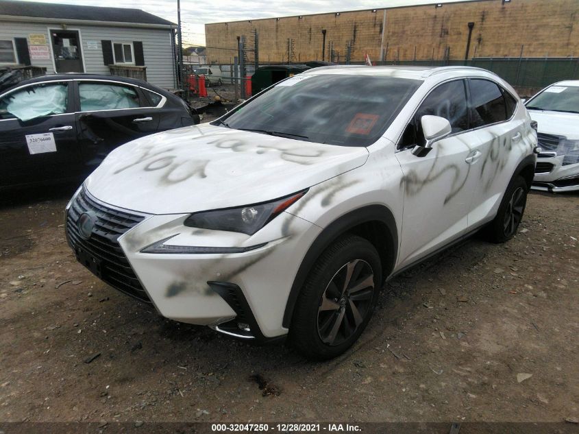 2021 LEXUS NX NX 300 VIN: JTJGARDZ9M5030435