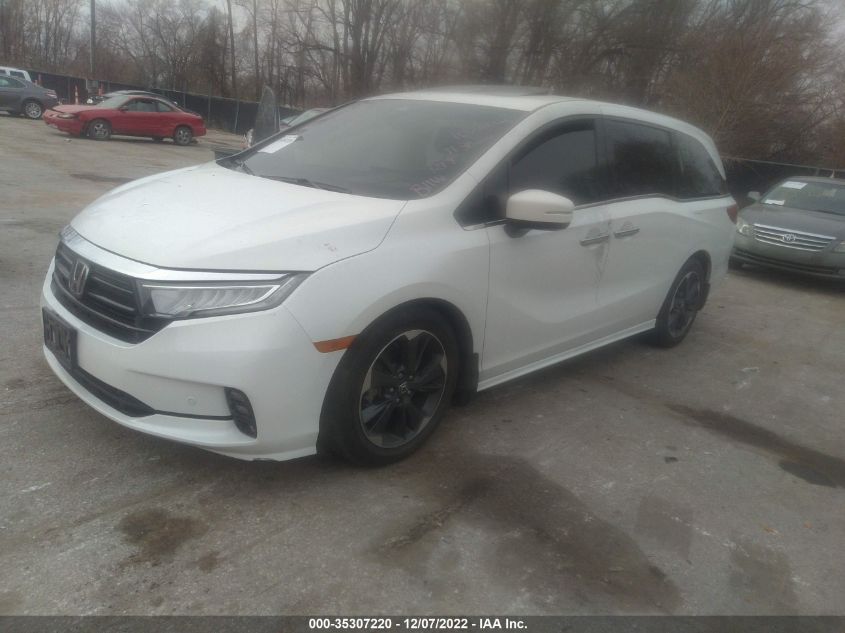 2021 HONDA ODYSSEY ELITE VIN: 5FNRL6H99MB000381