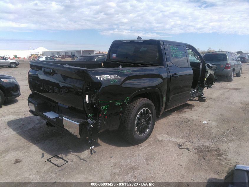 2023 TOYOTA TUNDRA 2WD SR5 VIN: 5TFLA5AB8PX024071