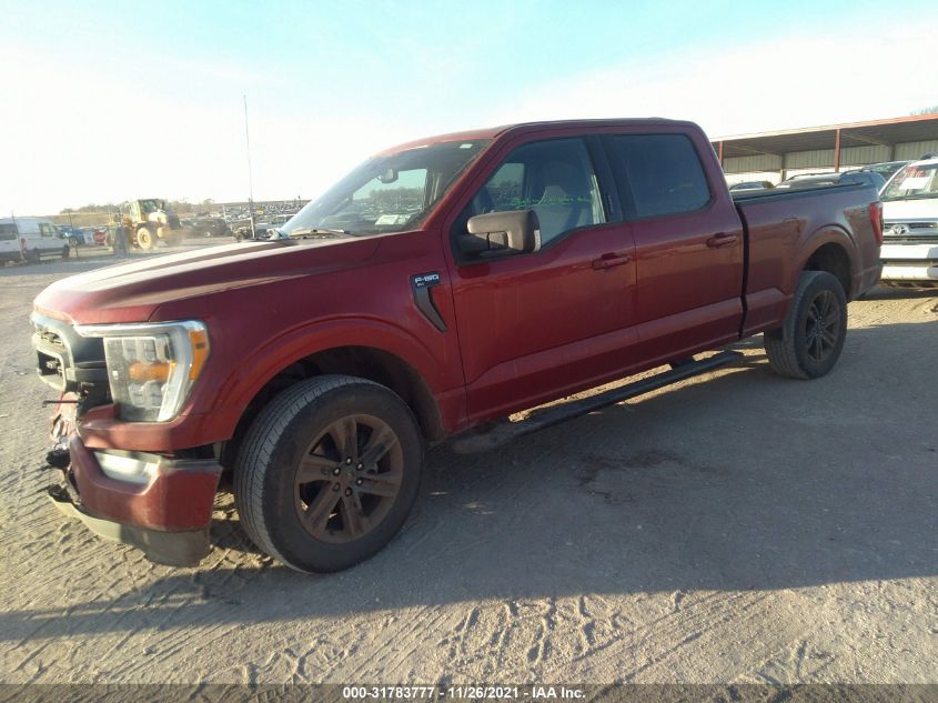 2021 FORD F-150 XL/XLT/LARIAT VIN: 1FTFW1E80MKD37601