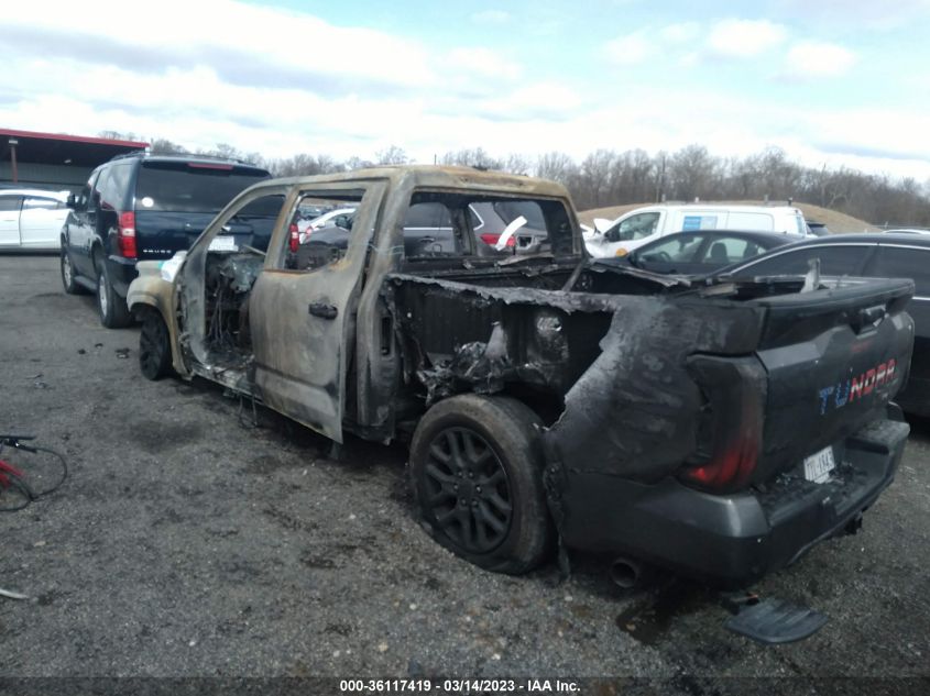 2022 TOYOTA TUNDRA 4WD PLATINUM VIN: 5TFNA5DB6NX020621