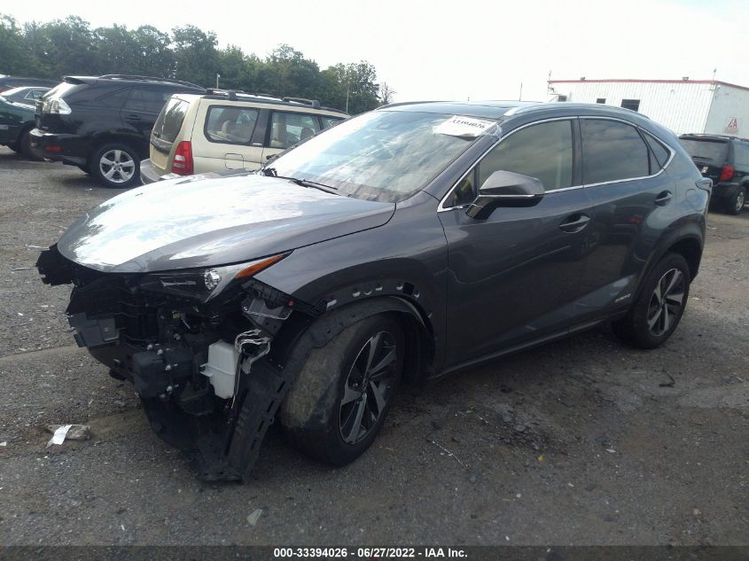 2021 LEXUS NX NX 300H VIN: JTJGJRDZ9M2152780