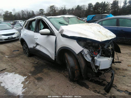 2020 FORD ESCAPE SEL VIN: 1FMCU0H66LUA85316