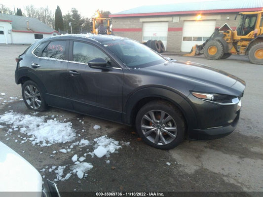 2020 MAZDA CX-30 PREFERRED PACKAGE VIN: 3MVDMBDL9LM131871