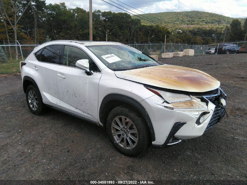 2021 LEXUS NX VIN: JTJDARDZXM5025554