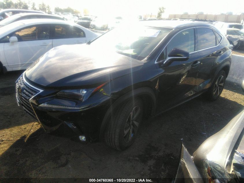 2021 LEXUS NX NX 300 VIN: JTJGARBZ4M2182028