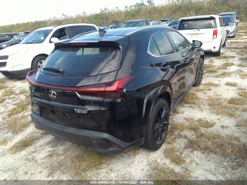 2022 LEXUS UX UX 200 VIN: JTHP3JBH4N2052272