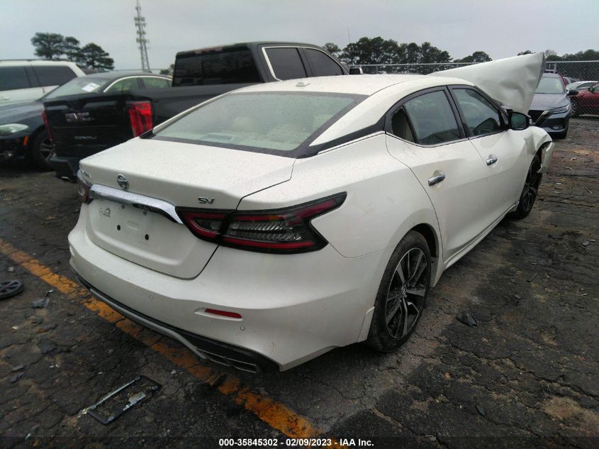 2022 NISSAN MAXIMA SV VIN: 1N4AA6CV2NC507165