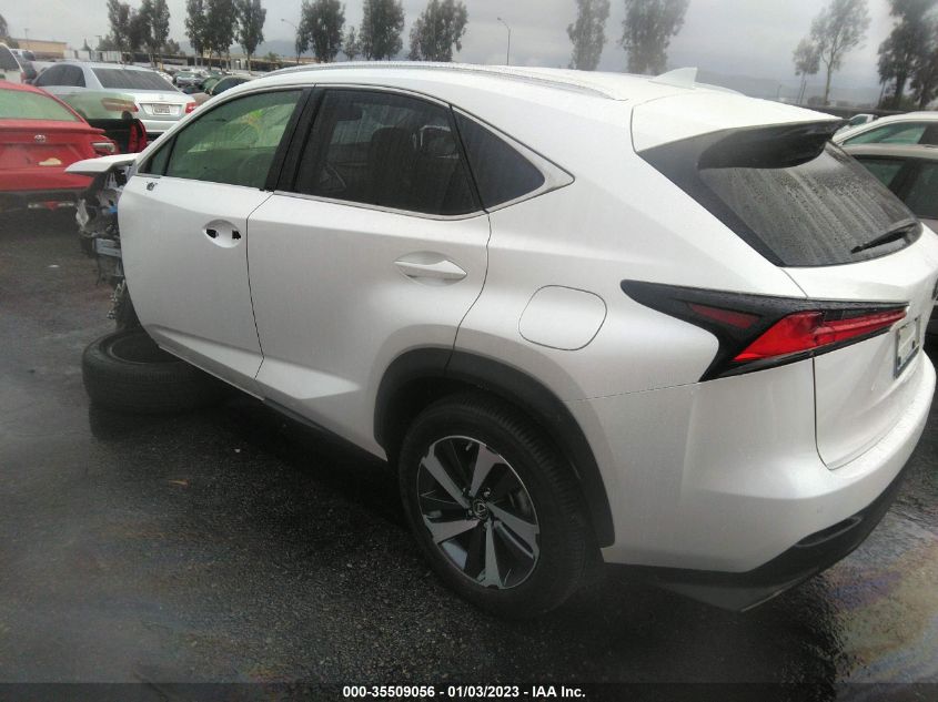 2021 LEXUS NX NX 300 VIN: JTJGARBZ1M5029198