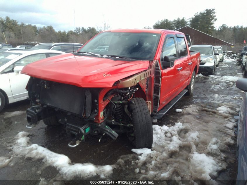 2021 FORD F-150 XL/XLT VIN: 1FTEW1EB4MKD52707