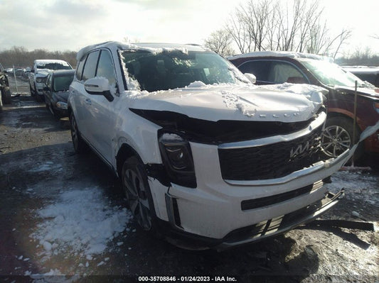 2022 KIA TELLURIDE S VIN: 5XYP6DHC3NG233200