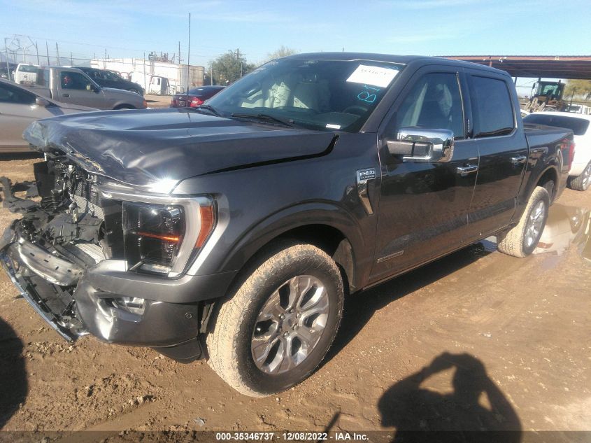 2022 FORD F-150 XL/XLT/LARIAT VIN: 1FTFW1ED6NFB16480