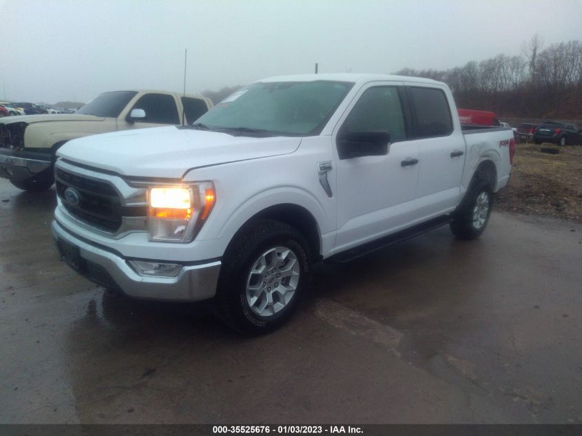 2021 FORD F-150 XL/XLT/LARIAT VIN: 1FTFW1E87MKE96017
