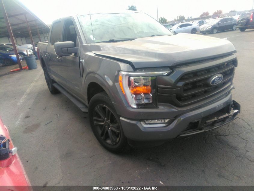 2021 FORD F-150 XL/XLT/LARIAT VIN: 1FTFW1E89MFA61301