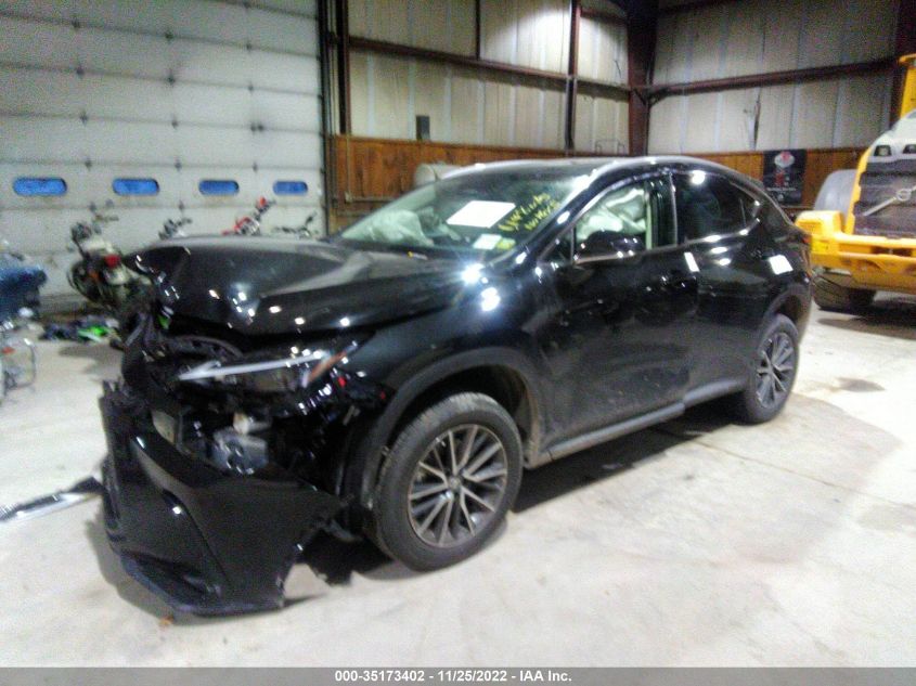 2023 LEXS NX VIN: 2T2GGCEZ5PC017083